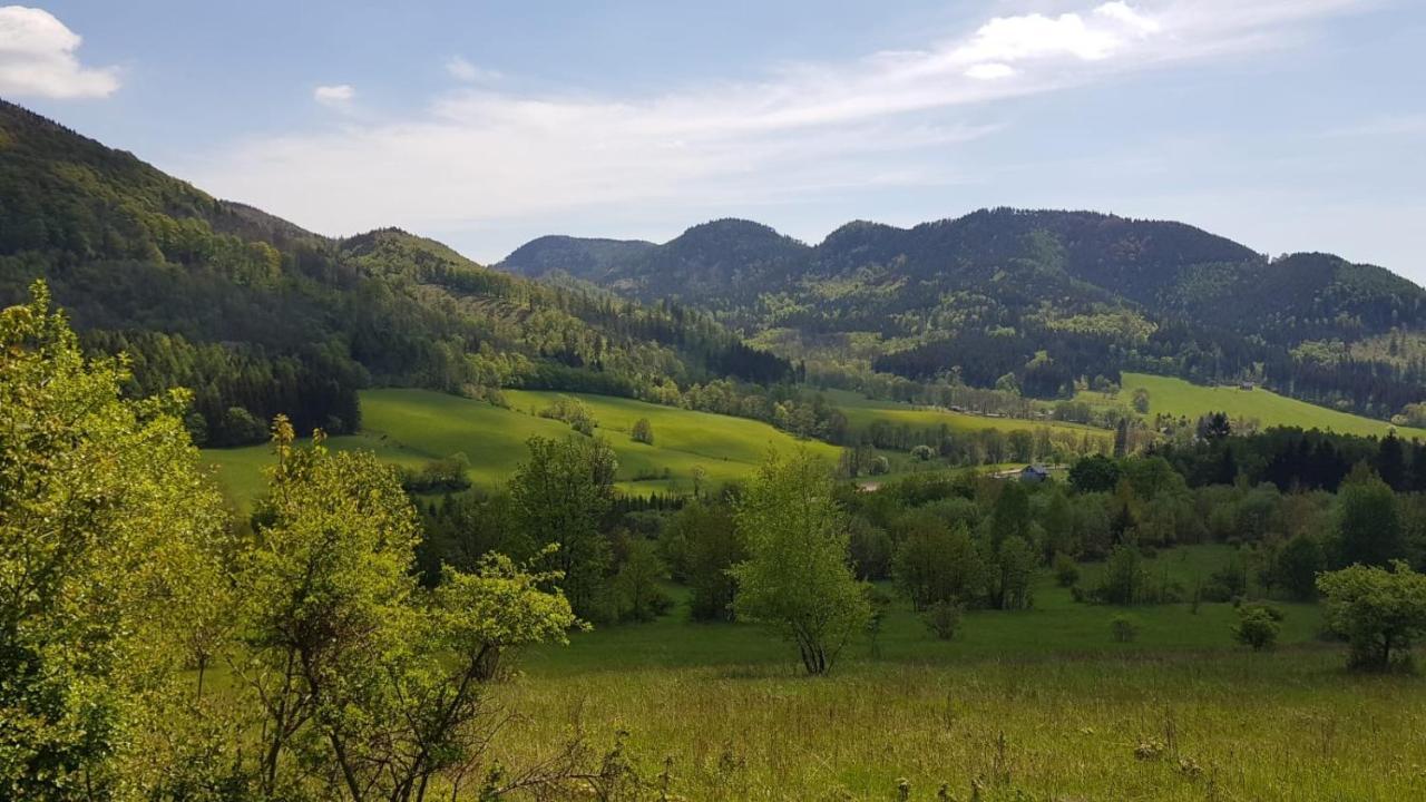 Sloneczne Apartamenty Sokolowsko Exteriör bild