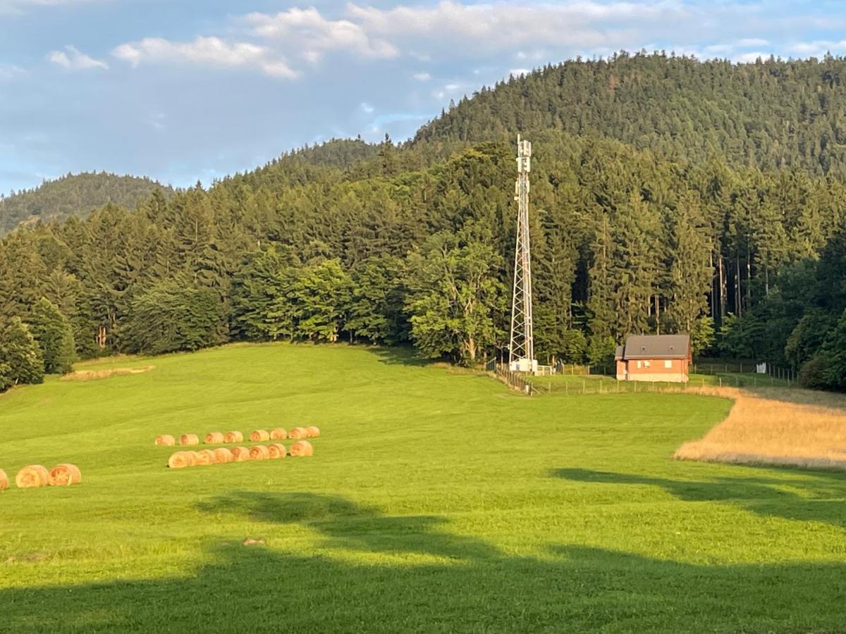 Sloneczne Apartamenty Sokolowsko Exteriör bild